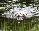 20170603-shrw-0110