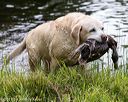 20170603-shrw-0122