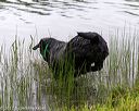 20170603-shrw-0164