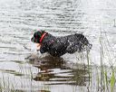 20170603-shrw-0363