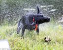 20170603-shrw-0381