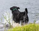 20170603-shrw-0449