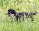 20170603-shrw-0504