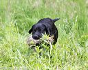 20170603-shrw-0592