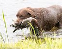 20170603-shrw-0634