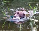 20170603-shrw-0652