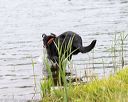 20170603-shrw-0678