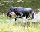 20170603-shrw-0721