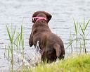 20170603-shrw-0736