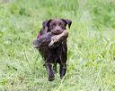 20170603-shrw-0793