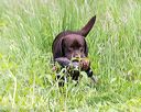 20170603-shrw-0840