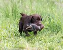 20170603-shrw-0843