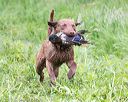 20170603-shrw-1005