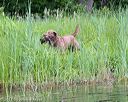 20170603-shrw-1100