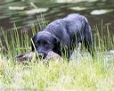 20170603-shrw-1163