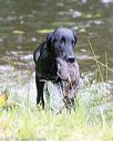 20170603-shrw-1290