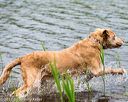 20170603-shrw-1309