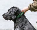 20170603-shrw-1453