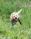20170603-shrw-1553