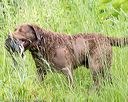 20170603-shrw-1698