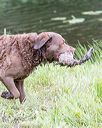 20170603-shrw-1726