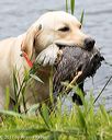 20170603-shrw-1740