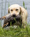 20170603-shrw-1743