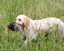 20170603-shrw-1751