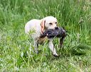 20170603-shrw-1754