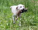 20170603-shrw-1820