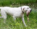 20170603-shrw-1826