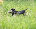 20170603-shrw-2013