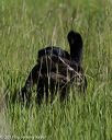 20170604-seal-0032