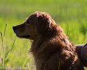 20170604-seal-0075