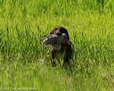 20170604-seal-0551