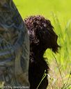 20170604-seal-0562