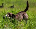 20170604-seal-0586
