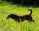 20170604-seal-0626