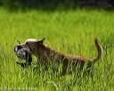 20170604-seal-0869