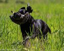 20170604-seal-1069