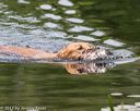 20170604-seaw-0005