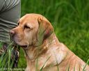 20170604-seaw-0129