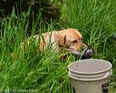 20170604-seaw-0154
