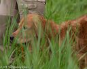 20170604-seaw-0189