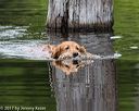 20170604-seaw-0252