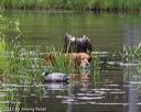 20170604-seaw-0271