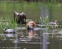 20170604-seaw-0273