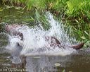 20170604-seaw-0328