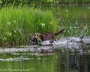 20170604-seaw-0339