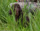 20170604-seaw-0380